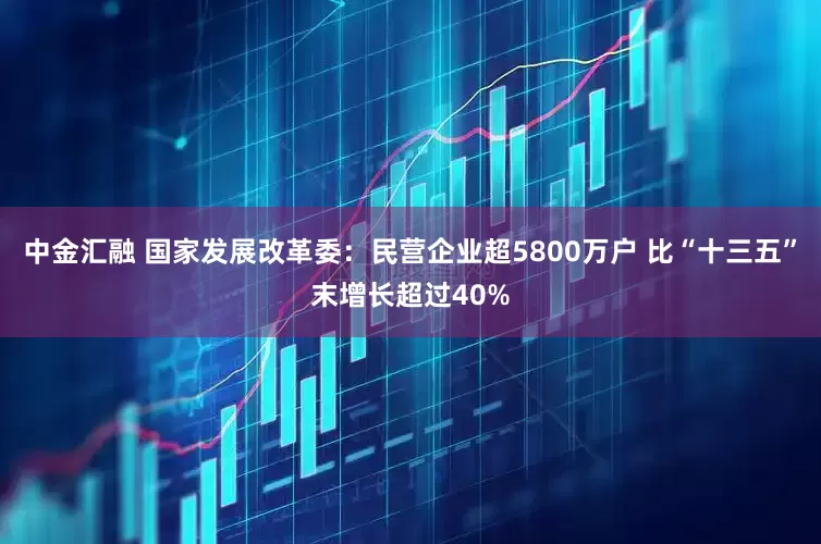 中金汇融 国家发展改革委：民营企业超5800万户 比“十三五”末增长超过40%
