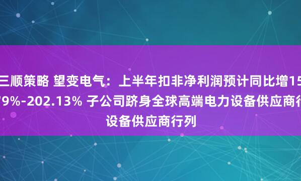 三顺策略 望变电气：上半年扣非净利润预计同比增153.79%-202.13% 子公司跻身全球高端电力设备供应商行列