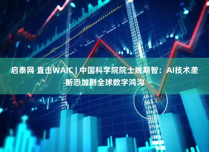 启泰网 直击WAIC | 中国科学院院士姚期智：AI技术垄断恐加剧全球数字鸿沟