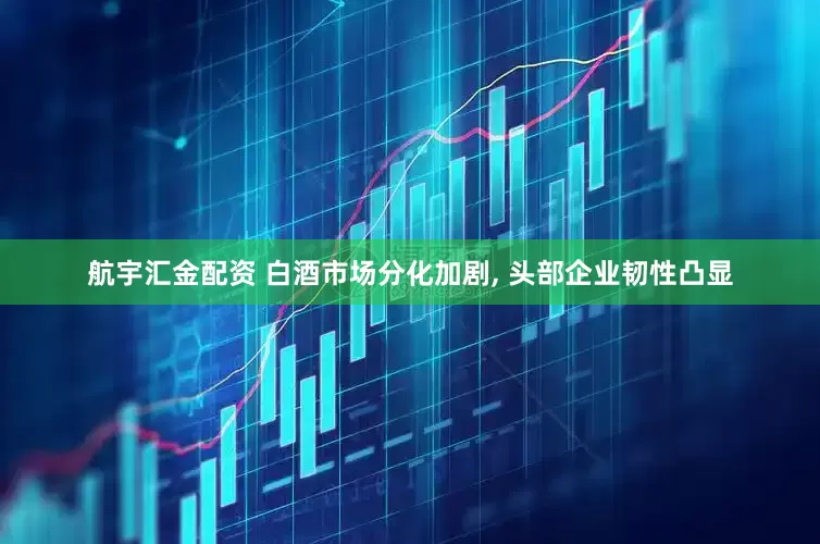 航宇汇金配资 白酒市场分化加剧, 头部企业韧性凸显