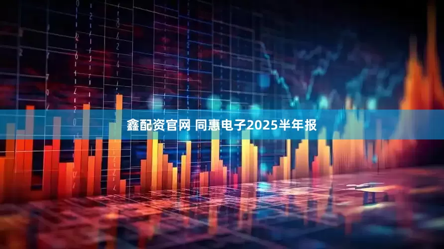 鑫配资官网 同惠电子2025半年报