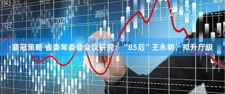 鼎冠策略 省委常委会会议研究：“85后”王永明，拟升厅级
