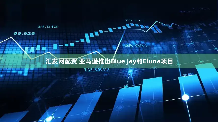 汇发网配资 亚马逊推出Blue Jay和Eluna项目