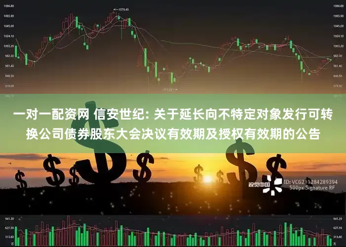 一对一配资网 信安世纪: 关于延长向不特定对象发行可转换公司债券股东大会决议有效期及授权有效期的公告