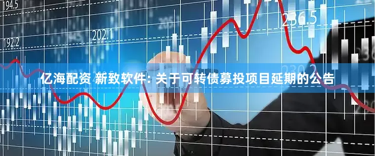 亿海配资 新致软件: 关于可转债募投项目延期的公告