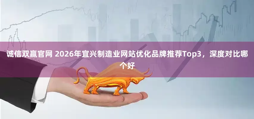 诚信双赢官网 2026年宜兴制造业网站优化品牌推荐Top3，深度对比哪个好
