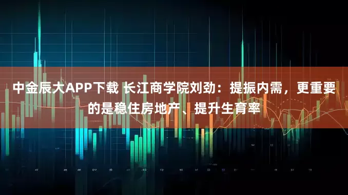 中金辰大APP下载 长江商学院刘劲：提振内需，更重要的是稳住房地产、提升生育率